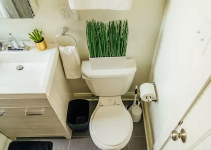 Convenient & Newly Decorated 1br - Roscoe 1d Apartamento